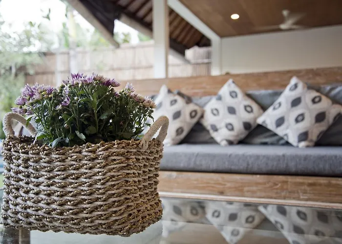 Star Villa *
